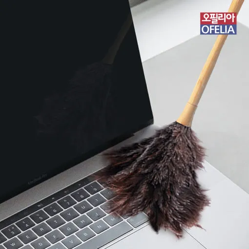 타조 먼지털이 총채 먼지떨이 먼지청소 (업체별도 무료배송)