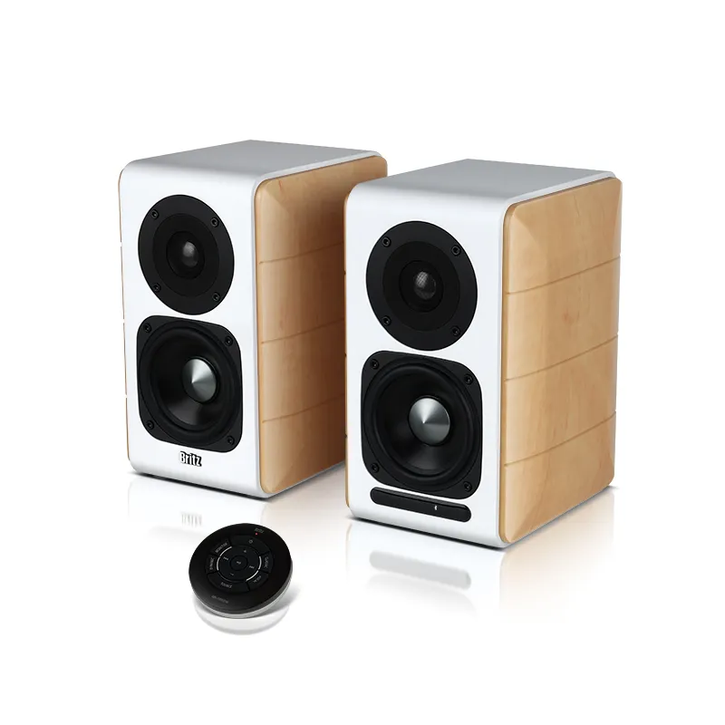 [브리츠] 블루투스 스피커 br-1900db (대형 거실용) (업체별도 무료배송)